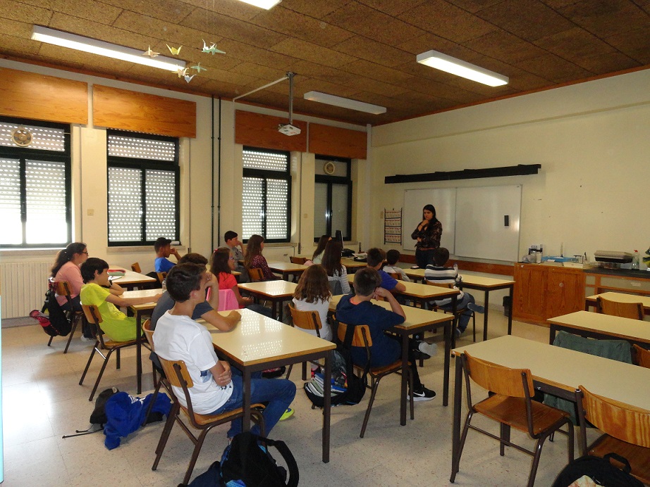 Imagem3