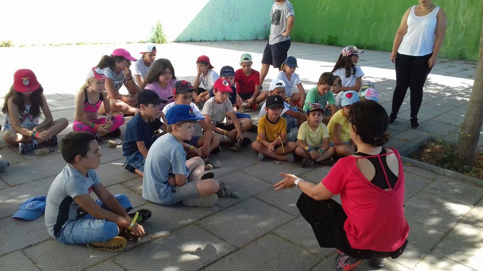 Imagem5